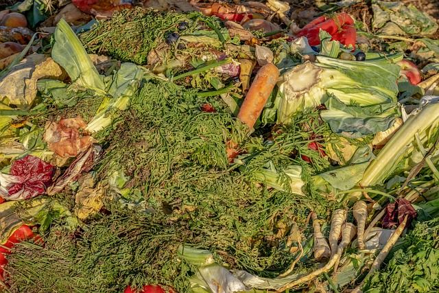 Oppervlaktecompostering: bescherm je moestuin liefdevol tegen slakken