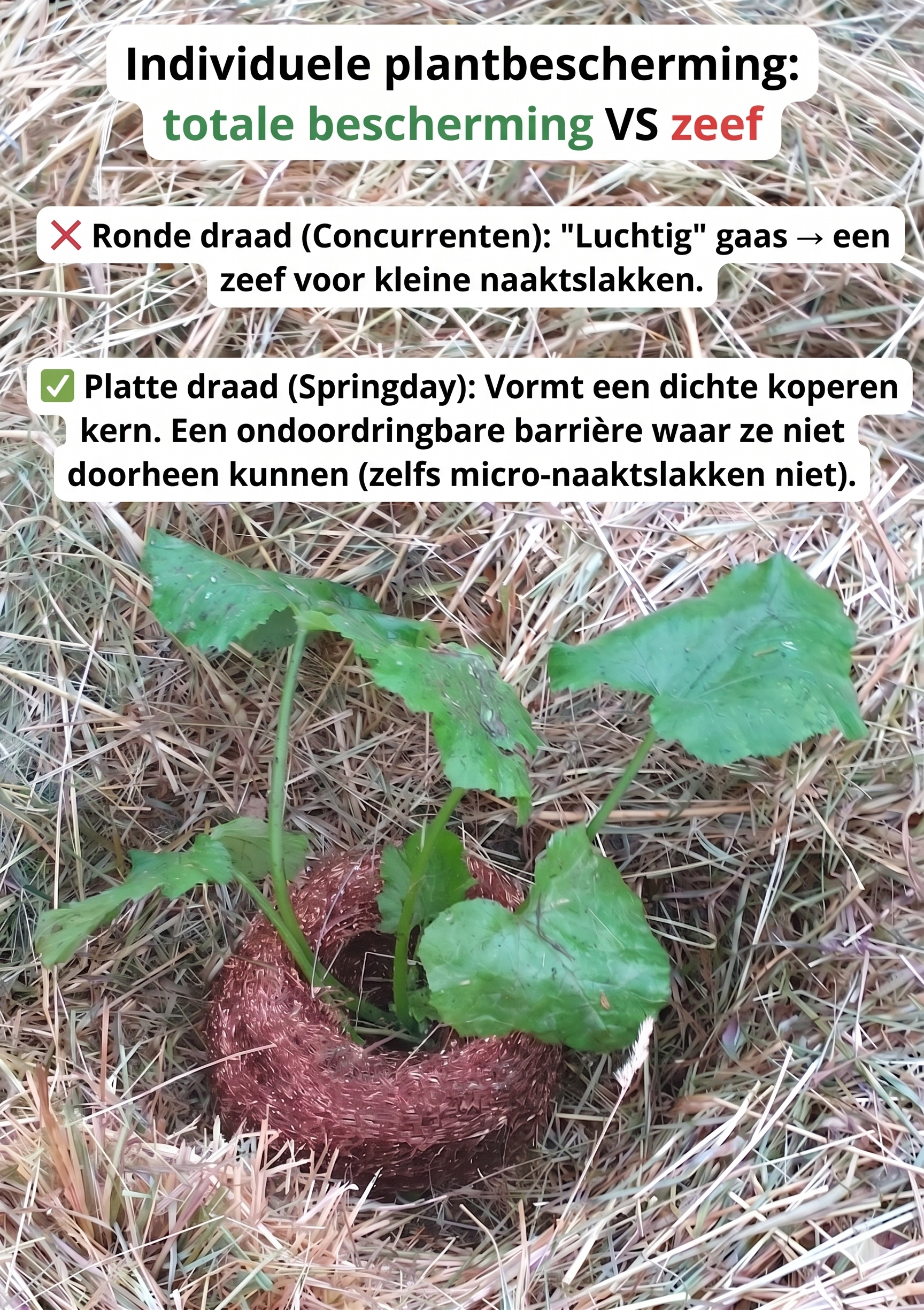 Slakkengaas 10 meter 2.0
