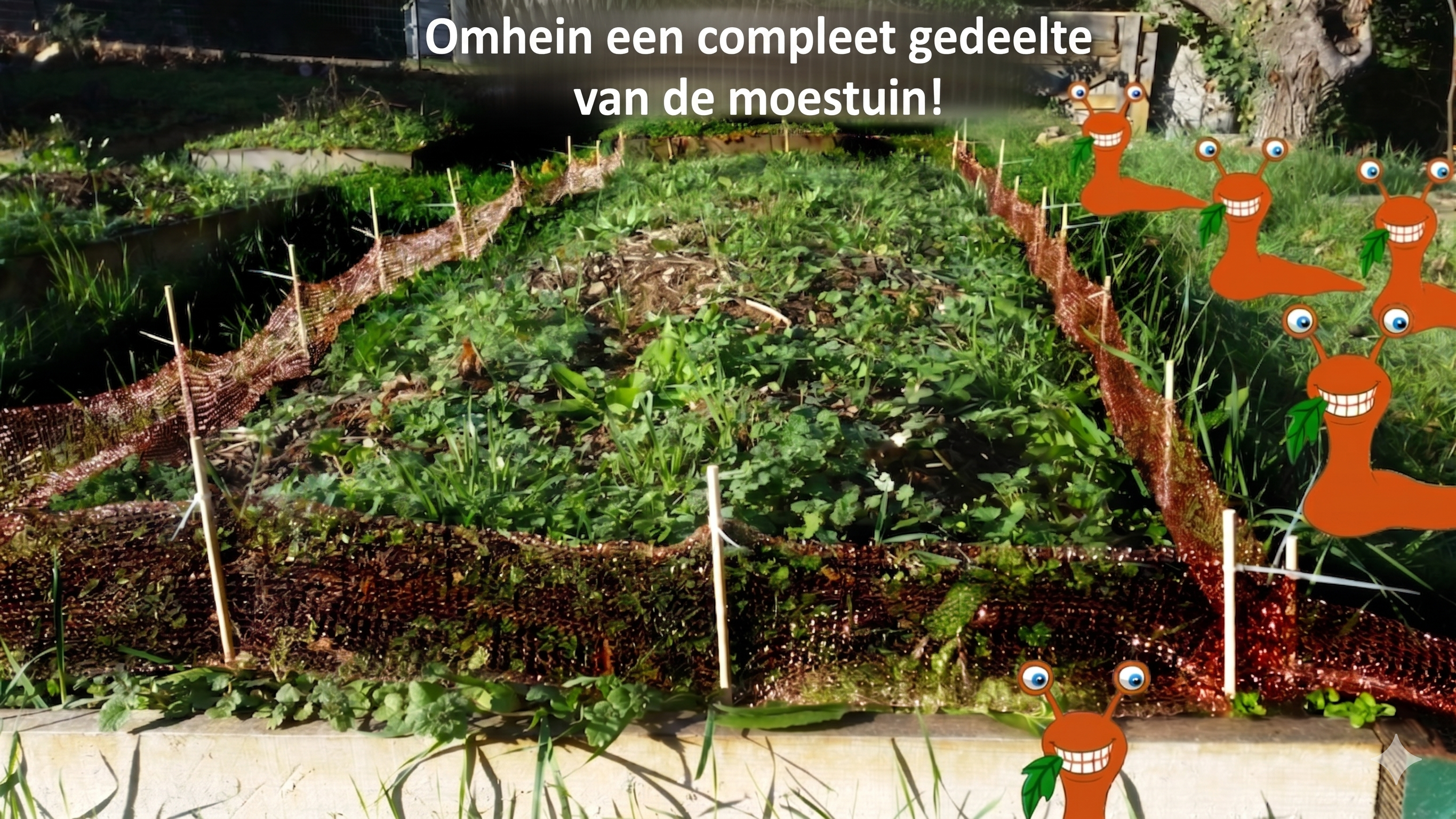 Het Springday-slakkengaas is een natuurlijke slakkenbarrière